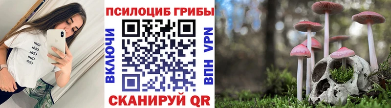Галлюциногенные грибы GOLDEN TEACHER  Тбилисская 